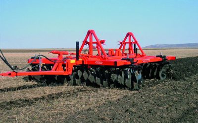 MASCHIO BRONA MODEL LEONE