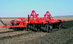 MASCHIO BRONA MODEL LEONE